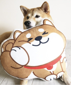 cushion