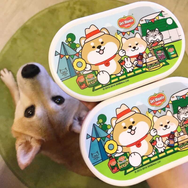 SHIBAINC