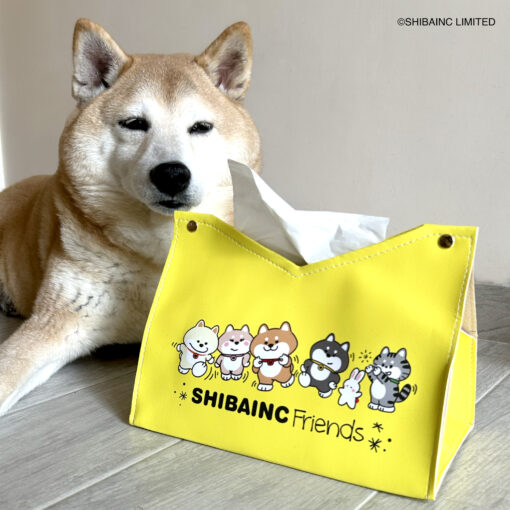 SHIBAINC Tissue Container