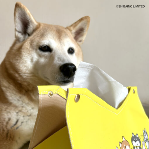 SHIBAINC Tissue Container - Image 3